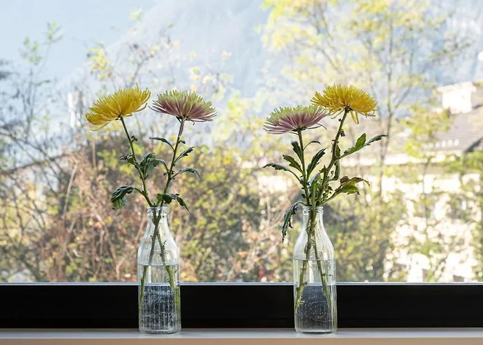 Casa Vertigo Bed & Breakfast