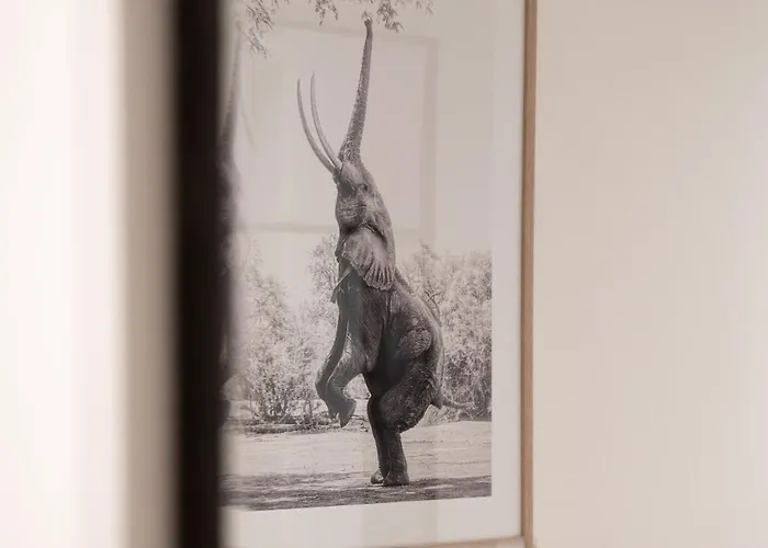 Couette-café Casa Vertigo 3*